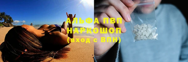 прущие грибы Баксан